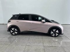 BYD Dolphin 401km Knight Edition - ფოტო 3
