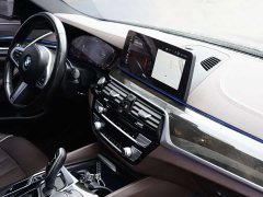 BMW 5 Series 530Li Premier M Sport Package - ფოტო 13