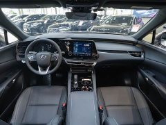 Lexus RX 350h FWD Pleasure Edition - ფოტო 13