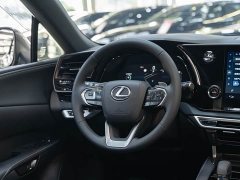 Lexus RX 350h FWD Pleasure Edition - ფოტო 14