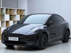 Tesla Model Y Rear-Wheel Drive - ფოტო 1