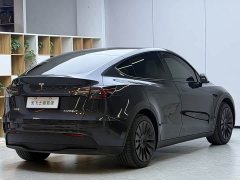 Tesla Model Y Rear-Wheel Drive - ფოტო 13
