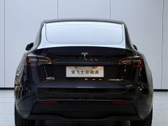 Tesla Model Y Rear-Wheel Drive - ფოტო 14