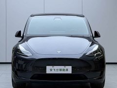 Tesla Model Y Rear-Wheel Drive - ფოტო 2