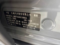 Tank 300 2021 Off-Road Edition 2.0T Conqueror - ფოტო 4