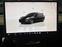 Tesla Model 3 Performance All-Wheel Drive - ფოტო 10