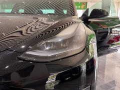 Tesla Model 3 Performance All-Wheel Drive - ფოტო 19