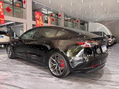 Tesla Model 3 Performance All-Wheel Drive - ფოტო 7