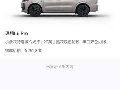 Li Auto L6 Pro - ფოტო 2