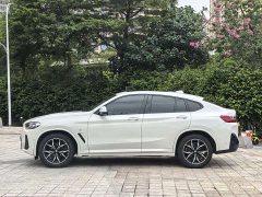 BMW X4 xDrive 25i M Sport Package - ფოტო 7