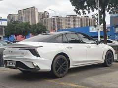 FAW Red Flag H6 2.0T Zhishang Edition - ფოტო 14