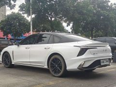 FAW Red Flag H6 2.0T Zhishang Edition - ფოტო 15