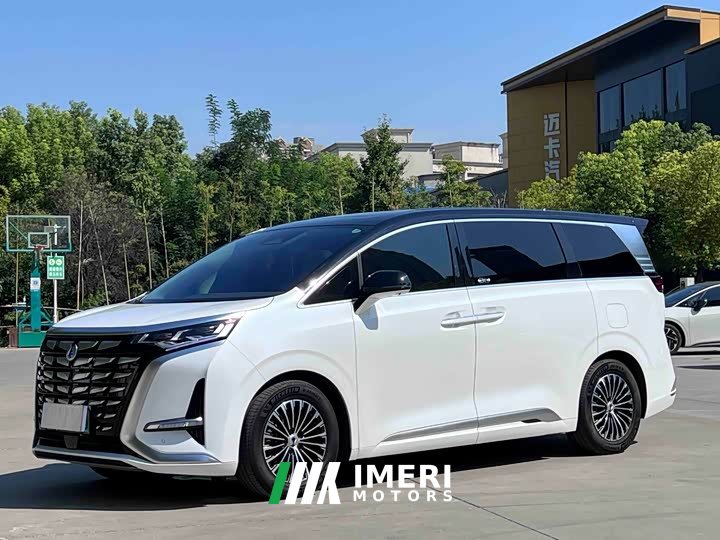 Denza D9 DM-i 1040 Premium