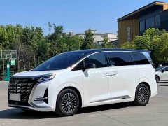 Denza BYD Denza D9 2022 DM-i 1040 Premium - ფოტო 1