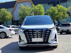 Denza BYD Denza D9 2022 DM-i 1040 Premium - ფოტო 2