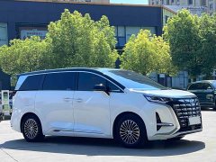 Denza BYD Denza D9 2022 DM-i 1040 Premium - ფოტო 3