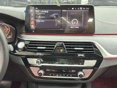 BMW 5 Series 530Li Premier M Sport Package - ფოტო 15