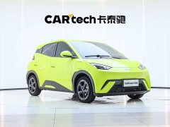BYD Seagull Freedom Edition - ფოტო 1