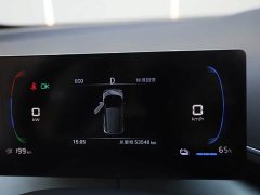 BYD Seagull Freedom Edition - ფოტო 16