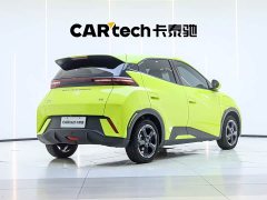 BYD Seagull Freedom Edition - ფოტო 2