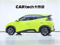 BYD Seagull Freedom Edition - ფოტო 6