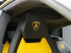 Lamborghini Urus 4.0T V8 - ფოტო 13