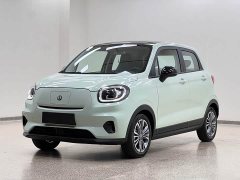 Leapmotor Leapo T03 403 Comfort Edition - ფოტო 1