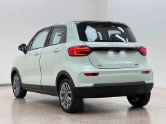 Leapmotor Leapo T03 403 Comfort Edition - ფოტო 4
