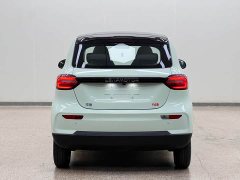 Leapmotor Leapo T03 403 Comfort Edition - ფოტო 5
