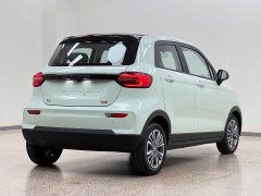 Leapmotor Leapo T03 403 Comfort Edition - ფოტო 6