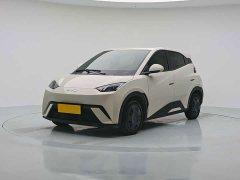 BYD Seagull 2024 Glory Edition 305km Vitality Version - ფოტო 1