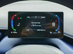 BYD Seagull 2024 Glory Edition 305km Vitality Version - ფოტო 11