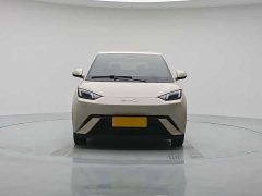 BYD Seagull 2024 Glory Edition 305km Vitality Version - ფოტო 2