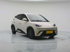 BYD Seagull 2024 Glory Edition 305km Vitality Version - ფოტო 3