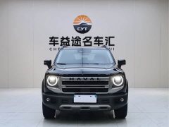 Great Wall Dachshund 2024 1.5T DCT Border Collie Edition - ფოტო 2