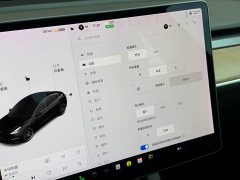 Tesla Model 3 Performance All-Wheel Drive - ფოტო 14