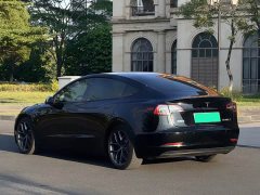 Tesla Model 3 Performance All-Wheel Drive - ფოტო 15