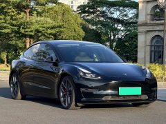 Tesla Model 3 Performance All-Wheel Drive - ფოტო 16