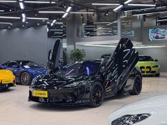 McLaren GT 4.0T Standard - ფოტო 1