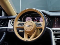Bentley Flying Spur Plug-in Hybrid 2.9T V6 Hybrid Mulliner - ფოტო 18