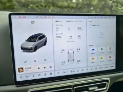Li Auto L9 Max - ფოტო 8