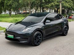 Tesla Model Y Rear-Wheel Drive - ფოტო 1