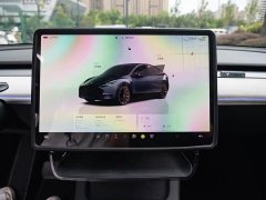 Tesla Model Y Rear-Wheel Drive - ფოტო 18