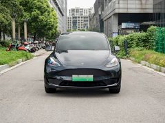 Tesla Model Y Rear-Wheel Drive - ფოტო 2