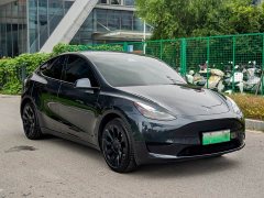 Tesla Model Y Rear-Wheel Drive - ფოტო 3