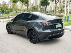Tesla Model Y Rear-Wheel Drive - ფოტო 5
