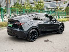 Tesla Model Y Rear-Wheel Drive - ფოტო 7