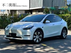 Tesla Model Y Standard Range RWD - ფოტო 1