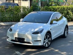 Tesla Model Y Standard Range RWD - ფოტო 3