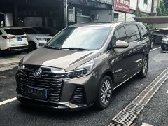 Buick GL8 Land Executive Cabin 652T Luxury - ფოტო 1